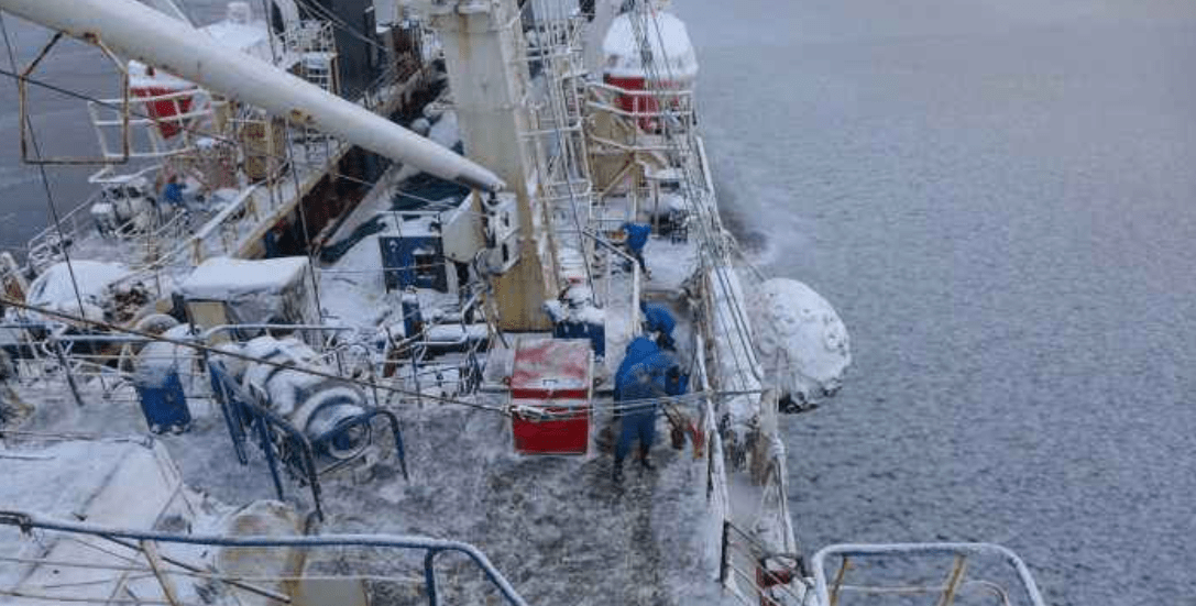 原创 南极磷虾:10亿吨“海上金矿”,各国争先捕捞,中国为何成黑马?7