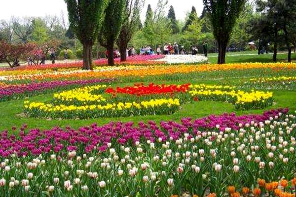 青岛春游去哪里比较好1