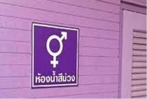 原创 为什么在泰国旅游,看到有紫色标识的厕所?导游:最好别进4