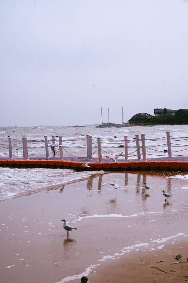 北戴河超小众旅行地,很少人知道,景色太美了6