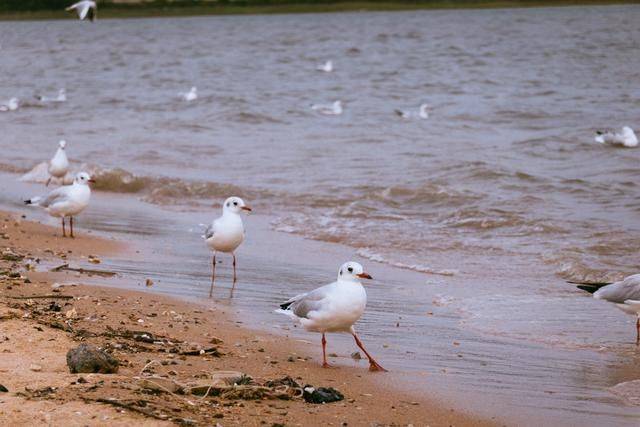 北戴河超小众旅行地,很少人知道,景色太美了27