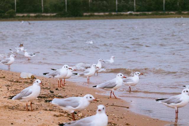 北戴河超小众旅行地,很少人知道,景色太美了28