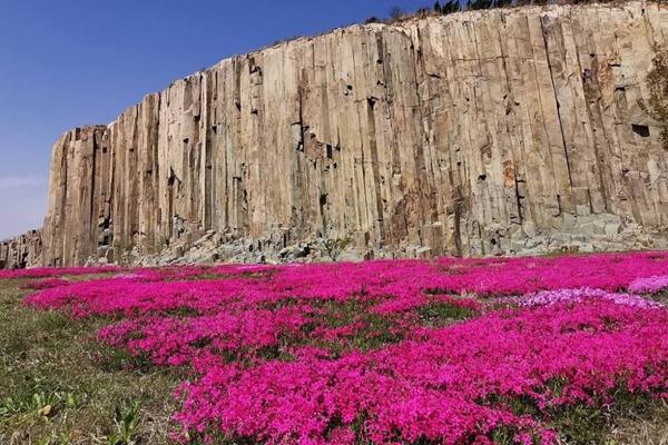 青岛适合春季旅游的小众景点有哪些1