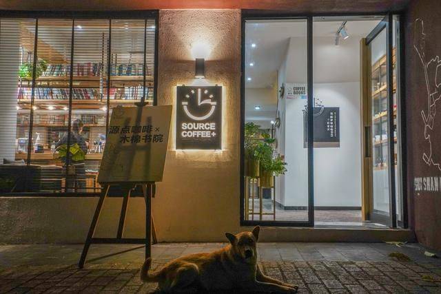 珠海宝藏岛屿全攻略,尚未完全开发,深圳珠海坐船只需一小时5