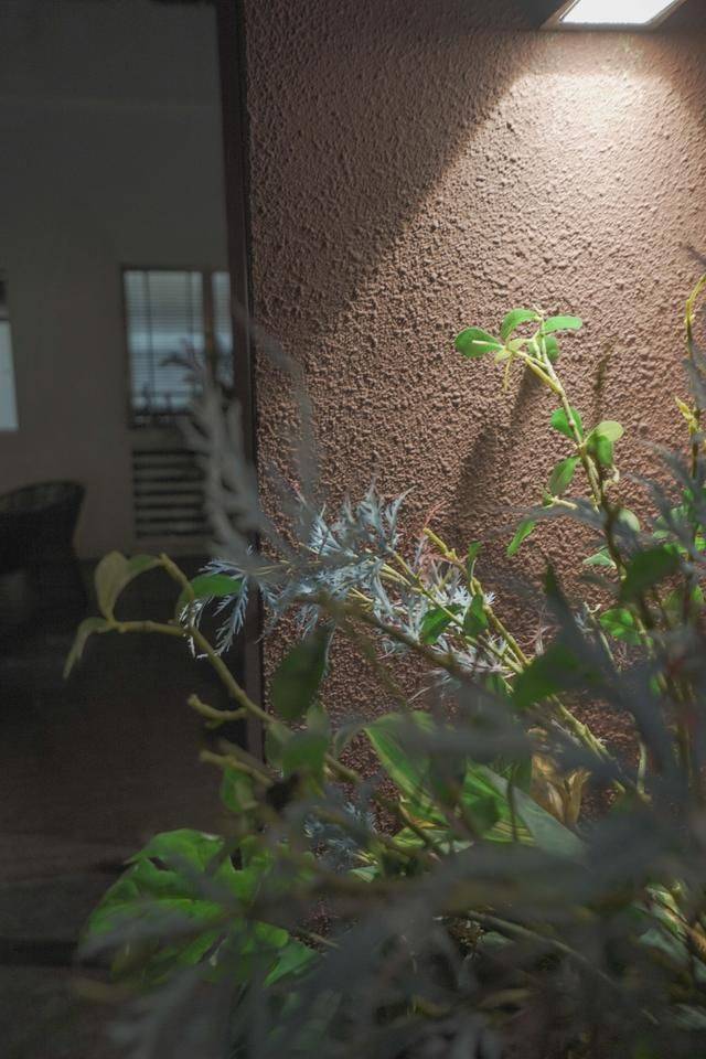 珠海宝藏岛屿全攻略,尚未完全开发,深圳珠海坐船只需一小时7