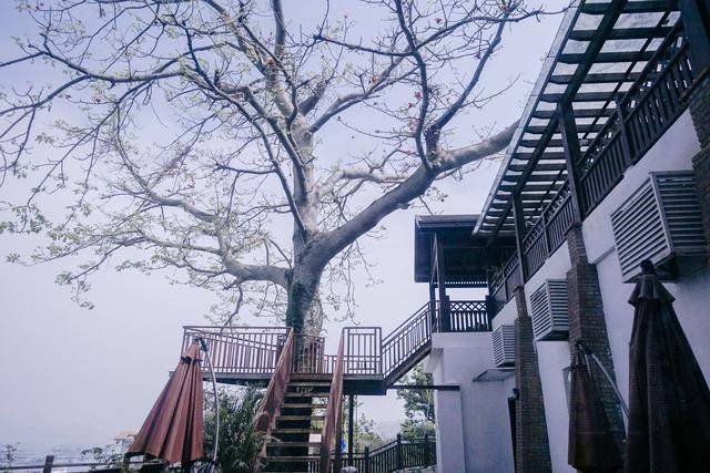 珠海宝藏岛屿全攻略,尚未完全开发,深圳珠海坐船只需一小时14