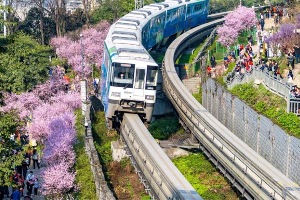 重庆开往春天的列车怎么去 在哪里1