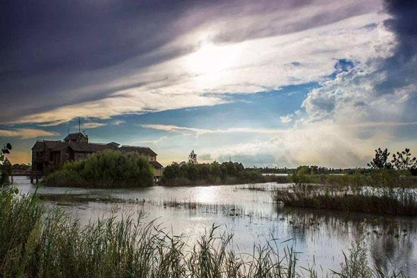 泗洪洪泽湖湿地公园好玩吗 游玩攻略1