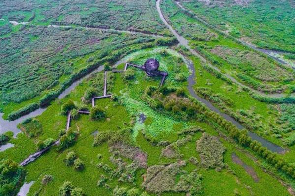 泗洪洪泽湖湿地公园好玩吗 游玩攻略2