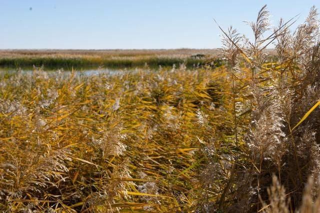 沙漠之中的雕塑博物馆，北京苍凉大气，绝美了1