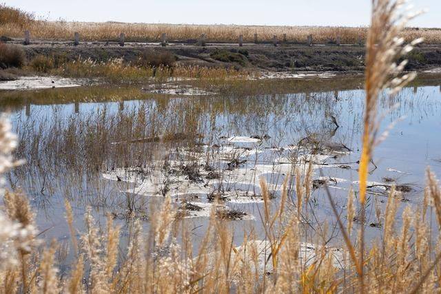 沙漠之中的雕塑博物馆，北京苍凉大气，绝美了27