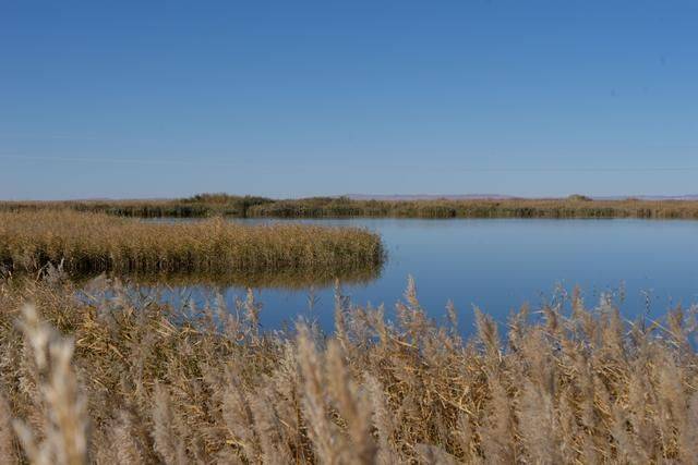 沙漠之中的雕塑博物馆，北京苍凉大气，绝美了28