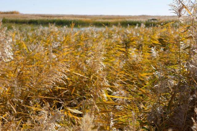 沙漠之中的雕塑博物馆，北京苍凉大气，绝美了33