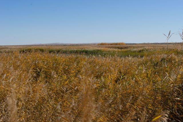 沙漠之中的雕塑博物馆，北京苍凉大气，绝美了34
