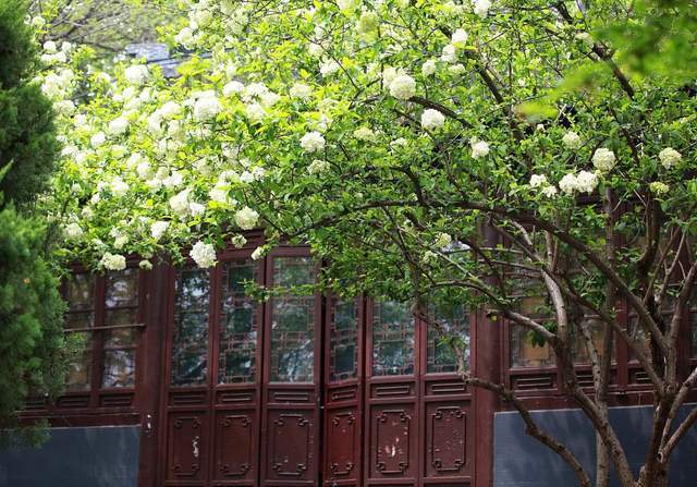 春天里的小众旅行地推荐,躲开人群,静享灿烂春光2