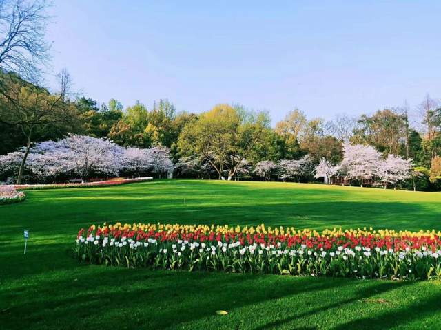春天里的小众旅行地推荐,躲开人群,静享灿烂春光3