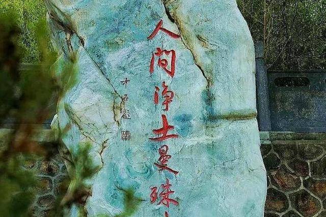 原创 甘肃有一座寺庙:群山环绕,山风吹来,松涛阵鸣,人称净土松涛4