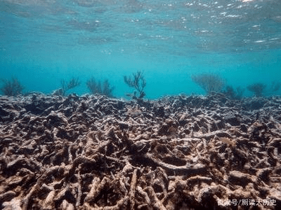 原创 地球连续降雨十年会发生什么,人类还能支撑多久,文明会消失吗?4
