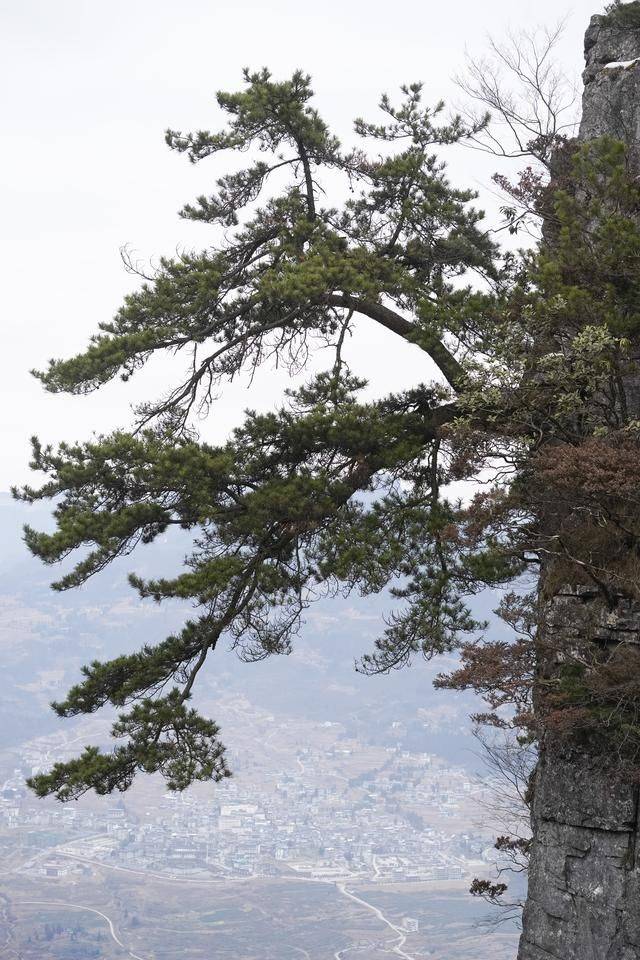 湖北恩施秘境绝空栈道,吓得腿脚发软,还没爬就已经开始放弃11