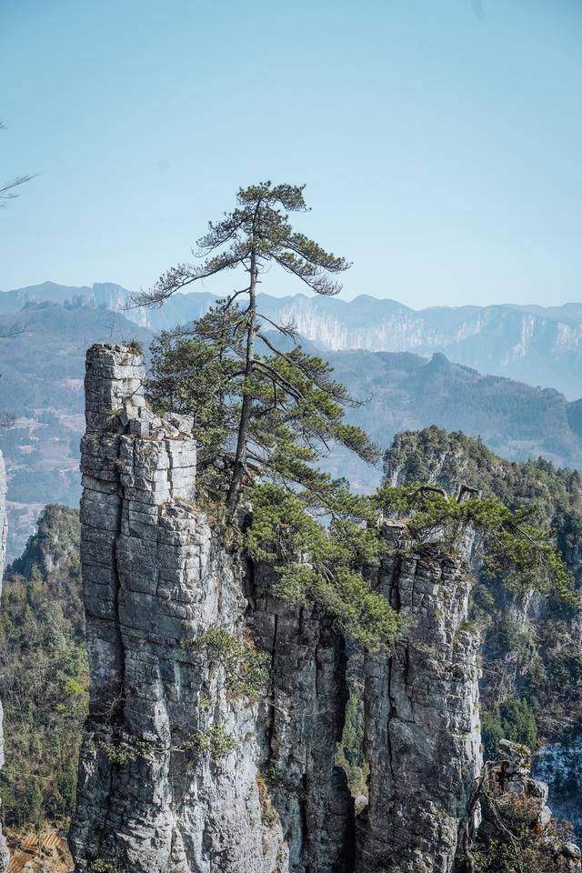 湖北恩施秘境绝空栈道,吓得腿脚发软,还没爬就已经开始放弃10