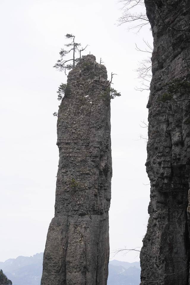 湖北恩施秘境绝空栈道,吓得腿脚发软,还没爬就已经开始放弃16