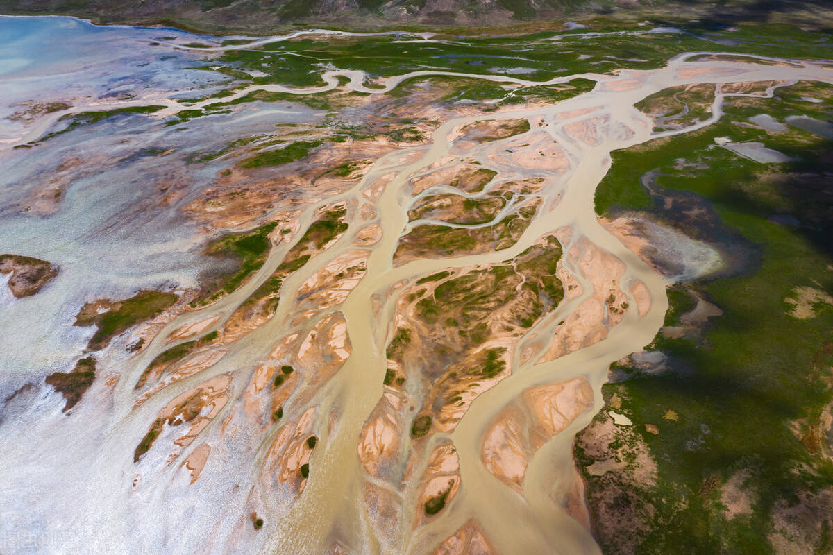 原创 黄河汇入渤海后,盐度急剧升高,里面的鱼到底去哪了?1