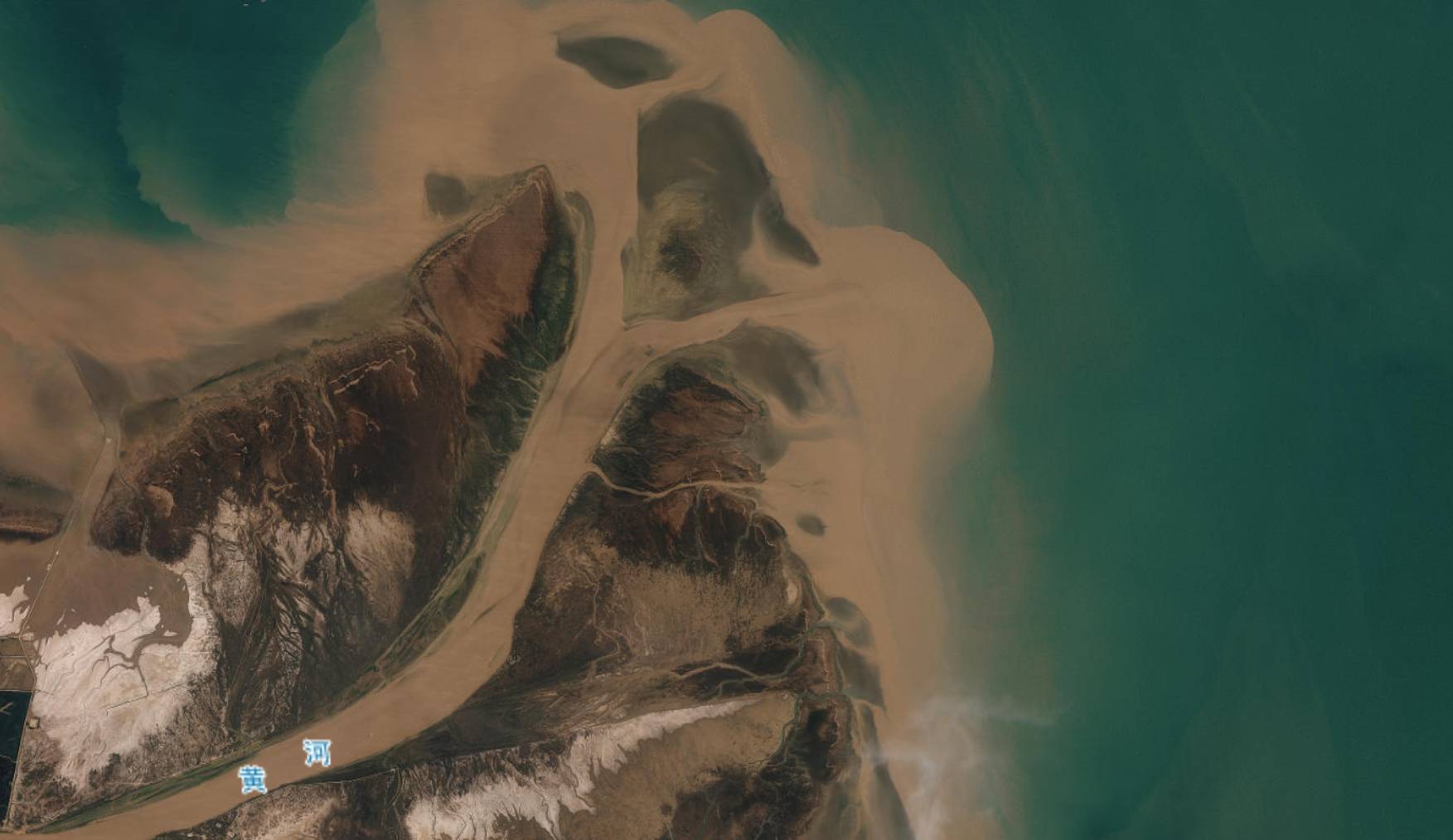 原创 黄河汇入渤海后,盐度急剧升高,里面的鱼到底去哪了?2