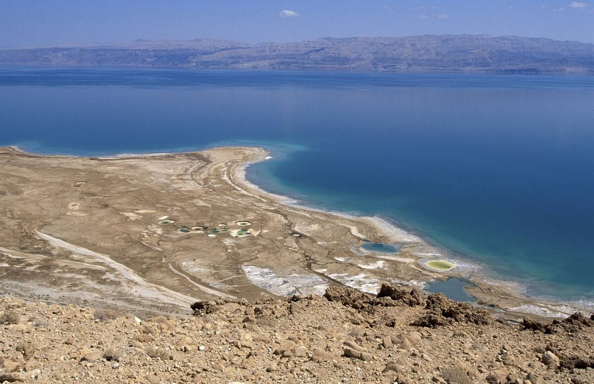 原创 黄河汇入渤海后,盐度急剧升高,里面的鱼到底去哪了?5