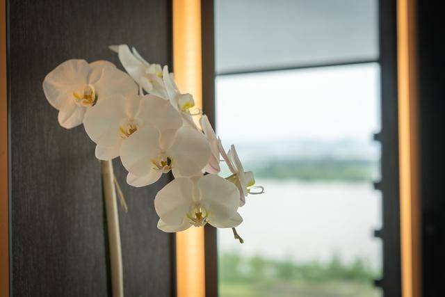 南京古城一定要住的高奢酒店,设计感爆棚,赶紧来体验一下7