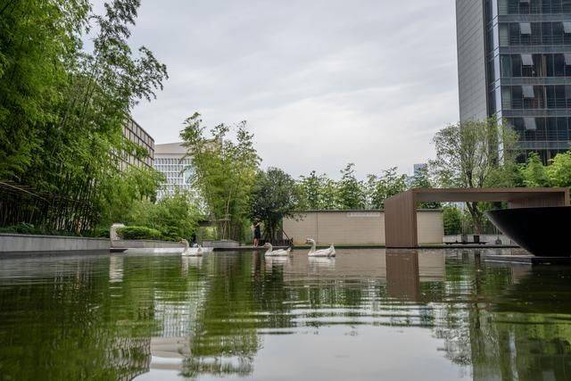 南京古城一定要住的高奢酒店,设计感爆棚,赶紧来体验一下18