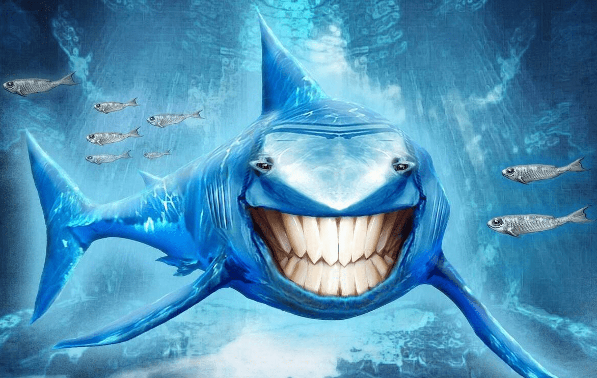 原创 大海中最凶猛的动物,鲨鱼,它是如何捕捉几公里以外的动物的?7