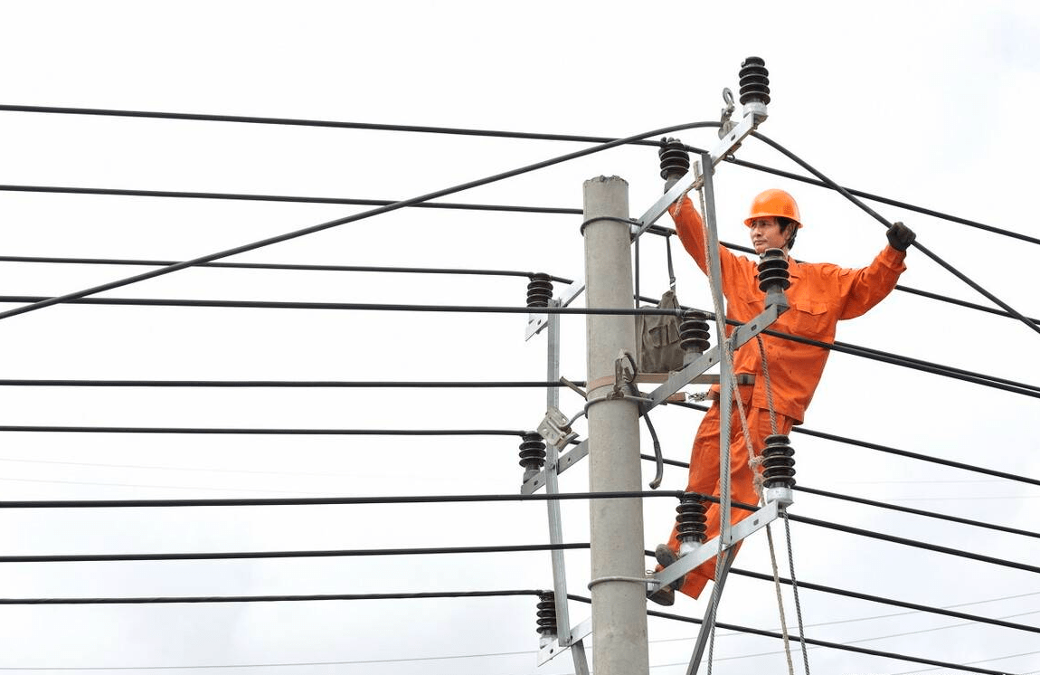 原创 电鳗的电力如此的强，甚至可以电死一头牛，为何电不到自己？4