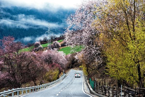 国内3月份春季自驾游最佳路线1