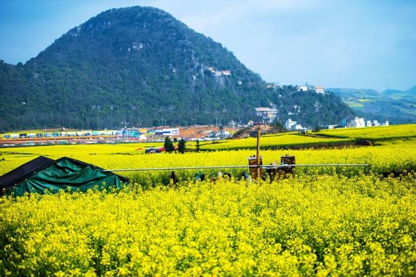 国内3月份春季自驾游最佳路线3