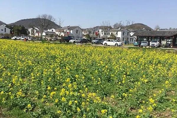 南京春季自驾游必去景点推荐1