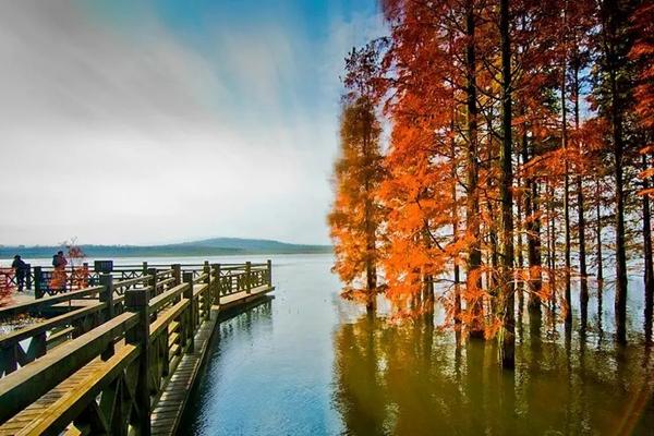 南京春季自驾游必去景点推荐3