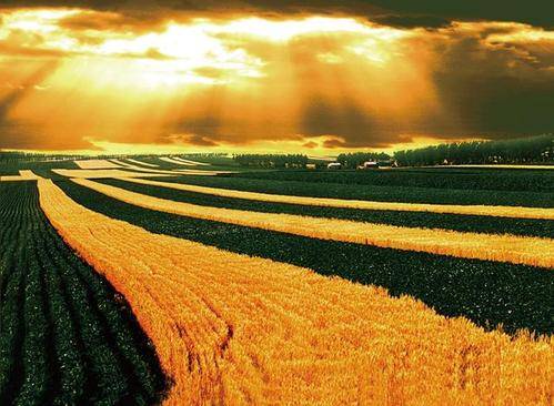 原创 中国最宝贵的省份,含有大量的资源,粮食产量还是全国排名最高5