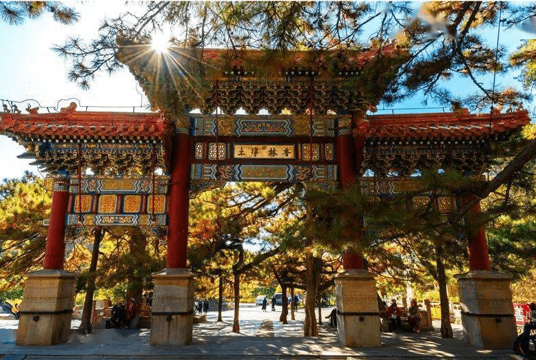 原创 北京一“隐秘”的千年古寺，古树参天环境清幽，名字却总让人念错3