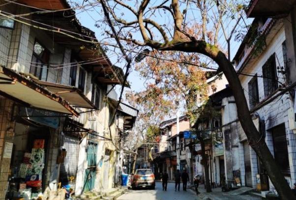 重庆春季踏青游玩路线推荐3