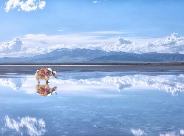 边玩边养老，旅居青海、甘肃，看醉美大西北（上）2