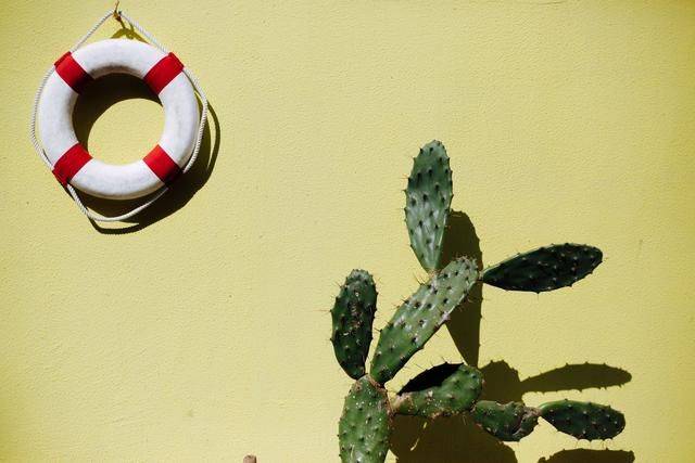 台州版“五渔村”,五彩斑斓,惹人心动,被称为马卡龙小镇8