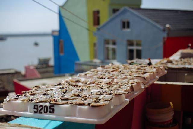 台州版“五渔村”,五彩斑斓,惹人心动,被称为马卡龙小镇15