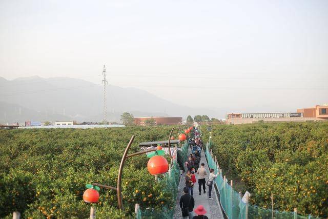 台州版“五渔村”,五彩斑斓,惹人心动,被称为马卡龙小镇25