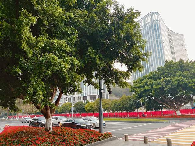 原创 广州三个已经消失的区,虽然被并入其他区,但老广依然常常提起2