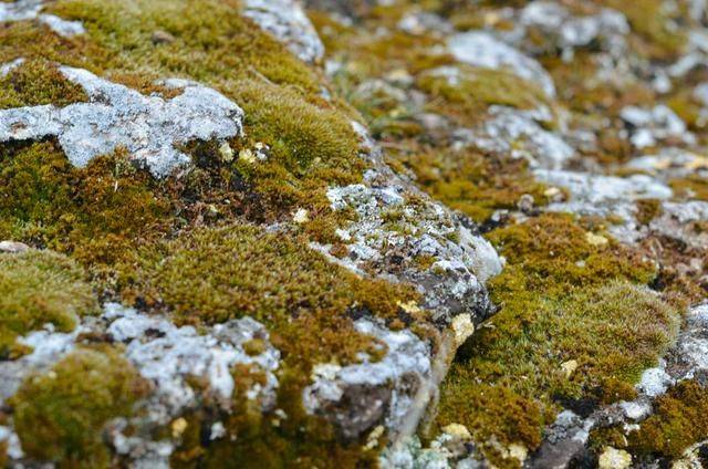 上帝打翻了牛奶瓶,它就变成了土耳其的棉花堡11