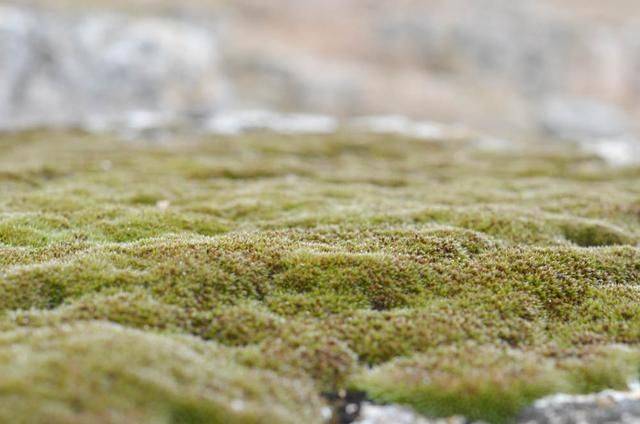 上帝打翻了牛奶瓶,它就变成了土耳其的棉花堡12