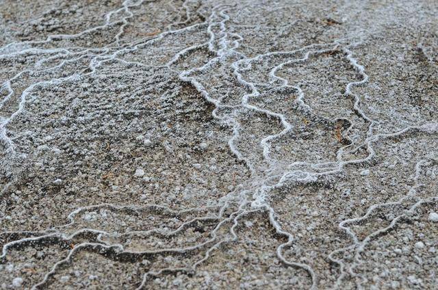 上帝打翻了牛奶瓶,它就变成了土耳其的棉花堡24