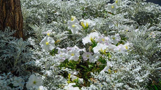 对中国人超友好的国家,美景特别多,价格很友好9