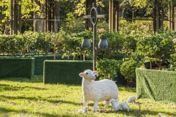 武汉植物园春游赏花攻略1