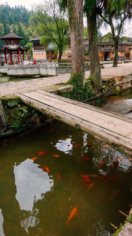 这个地方爱鱼成风,甚至还要位于举行葬礼,福建这一古村太神奇了20
